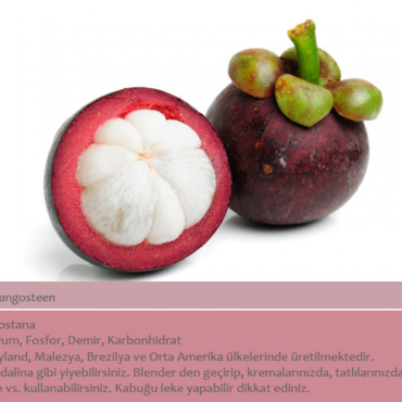 Mangosten