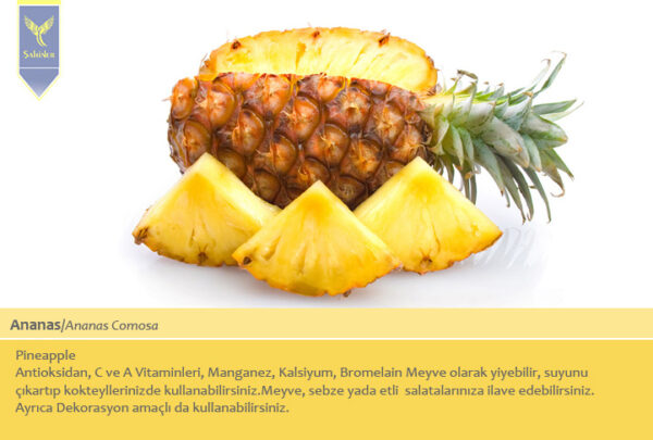 Ananas
