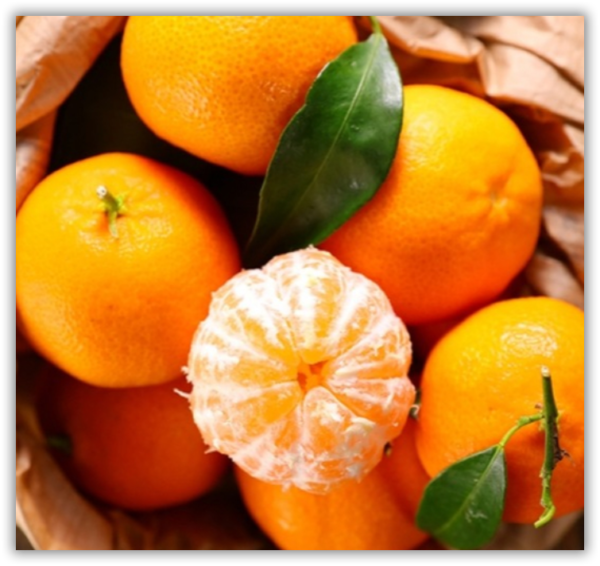 Mandalina