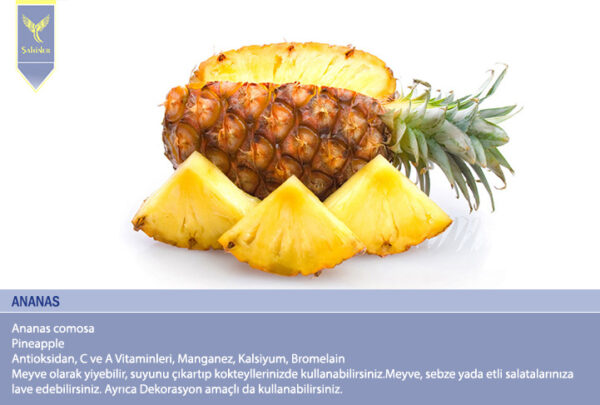 Ananas - Görsel 2