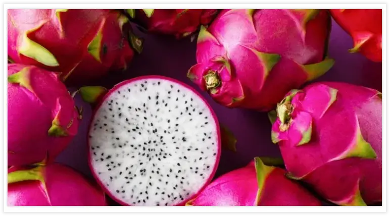 Ejder Meyvesi (Pitaya)