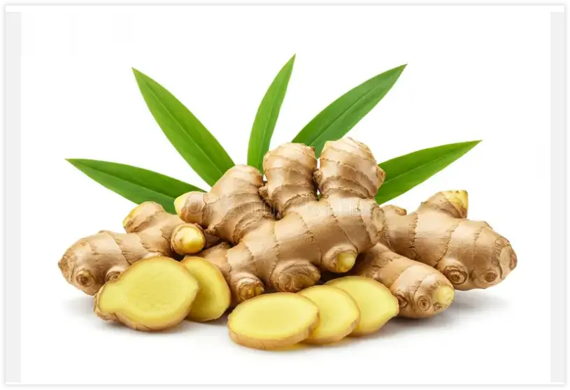 Zencefil - Görsel 2